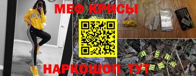 амф Дубна